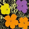 Andy Warhol- Silk Screen "Flowers 11.67"