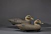 Black Duck Pair Wildfowler Decoys (1939-1957)