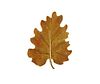 Buccellati 18K Gold Oak Leaf Brooch Pin