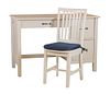 Pottery Barn Kids White Painted Desk and Chair