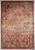 19th C. Mughal Agra Rug: 10'11'' x 15'11''