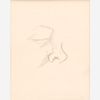  Thomas Hart Benton "Nose Sketch" Graphite (ca. 1960s)
