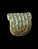 Arm Guard Pendant, Late Neolithic Period, Hongshan Culture (4700-2500 BCE)