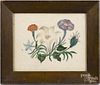 Three watercolor botanicals, late 19th c., largest - 7'' x 8 1/2''.