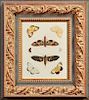 Colored Butterfly Print, early 20th c., presented