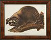 John James Audubon (1785-1851), "Raccoon, Male," N
