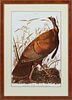 John James Audubon (1785-1851), "Wild Turkey, Grea