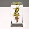 Paul J. Stankard Botanical / Root People Upright Paperweight