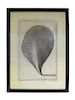 * A Framed Continental Engraving Height 19 1/2 x width 14 1/2 x depth 3/4 inches (frame).