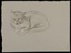 Paul Cadmus Cat Crayon on Paper Drawing