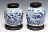 (2) CHINESE BLUE & WHITE PORCELAIN GINGER JARS