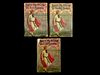 Group of 3 Ruth Fielding Series Books by Alice B. Emerson, 1915-1917