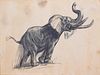  D. Schwartz: Elephant Study