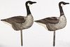 Two painted zinc Canada Goose field decoys