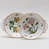 Pair of Pinxton Porcelain Botanical Plates