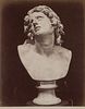 G. BROGI (1822-1881), Bust of Alessandro, Florence, around 1880, albumen paper print