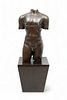 Unsigned Bronze Male Nude Torso, Custom Stand, Ca. 21st C., H 32" W 14" 2 pcs
