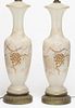 Pair of Painted & Frosted Glass Lamps