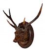 Carved Black Forest deer head with antlers.