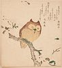 Kubo Shunman Japanese Woodblock Print, Horned Owl on Flowering Branch, c. 1800