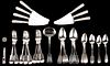 Group Marquand Coin Silver Flatware inc. knives, forks