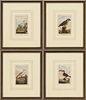 4 Ornithological Engravings by George L. Comte de Buffon