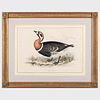 John Gould (1804-1881): Birds of Asia: Four Plates