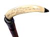 48. Hawaiian Wild Boar Trophy Cane- Ca. 1900- A silver capped wild boar tusk which is engraved “Aloha from local 38-26 Hono