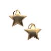 Vintage 14k Gold Star Earrings