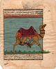 Early Moghul manuscript miniature of a camel, laid paper