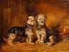 PORTRAIT OF A TERRIER PUPS IN A BARN OIL PAINTING