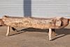 Folk Art Carved Timber Figural Dog Bench