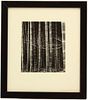 Brett Weston (1911-1993) USA, Gelatin-Silver Print