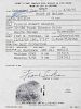 FRANK SINATRA 1991 LICENSE TO CARRY CONCEALED