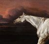 PORTRAIT OF A WOUNDED WHITE STALLION OIL PAINTING