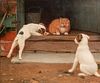  PUPPY DOGS & CAT OIL PAINTING