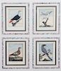 A Collection of Twelve Hand-Colored Ornithological Prints Height of each plate 9 1/2 x width 7 1/4 inches.