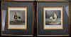 (2) Framed Hand Colored Engravings of Chickens