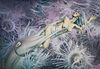 Hajime Sorayama 'Squid' Signed & numbered Lithograph