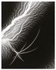 Hiroshi Sugimoto, Lightning Fields-194, 2009, Limited Edition Of 360
