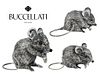 Lot of 3, M.Buccellati (282 g) Sterling Silver Mice