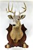Taxidermy 9 Point Buck Deer Trophy Mount w/ Hooves