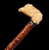 A 19TH C. CANE WITH UNUSUAL RUSTIC SHAFT & IVORY