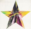 Damien Hirst - Star Spin Painting