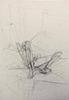 Alberto Giacometti - Nudo Femminile