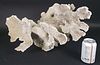 Large Fossilized Tropical Coral Centerpiece