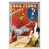 RE Society, "Grais Zebra and Baboons" Hand Pulled Lithograph, Image Originally by Albert Whitfield. Includes Letter of Authenticity.