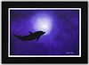 Wyland- Original Painting on Canvas "Dolphin"