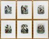 LITHOGRAPHS OF PARROTS SET OF 6