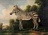 ROGERS, Steve. Oil on Canvas. Zebra in